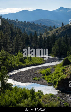 Fluss und Wald Landschaft entlang der Autobahn 89, in der Nähe der Markleeville, Kalifornien Stockfoto