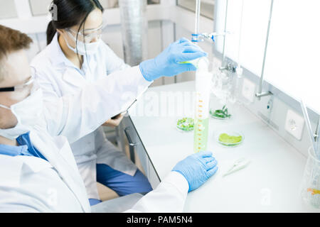 Hohen winkel Porträt zweier Wissenschaftler, die auf Essen Forschung Studium Flüssigkeiten in Becher beim Sitzen am Tisch im Labor Stockfoto