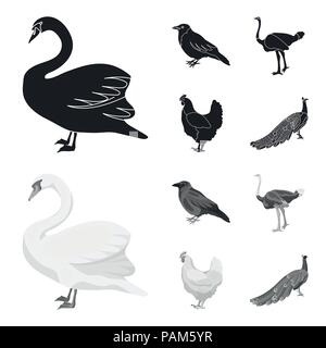 Crow, Strauß, Huhn, Pfau. Vögel stellen Sammlung Icons in Schwarz, monochrom Stil vektor Symbol lieferbar Abbildung. Stock Vektor