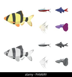 Angelfish, Common, Barbus, neon. Fisch set Sammlung Icons im Cartoon, Schwarzweiß-Stil vektor Symbol lieferbar Abbildung. Stock Vektor