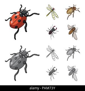 Gliederfüßer Insekten Marienkäfer, Libelle, Käfer, Colorado Käfer Insekten set Sammlung Icons im Cartoon, Schwarzweiß-Stil vektor Symbol lieferbar Isometrische Stock Vektor