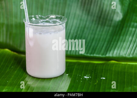 Die Kokosnuss, kratzen die Wasser zu mischen und dann gepresstem Kokosnuss Milch essen zu machen. Stockfoto