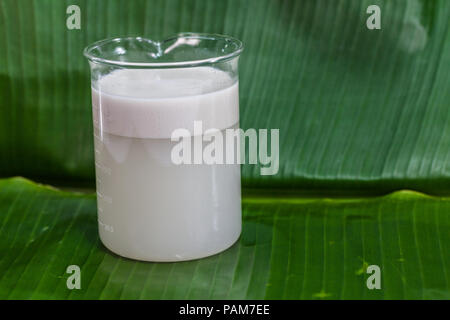 Die Kokosnuss, kratzen die Wasser zu mischen und dann gepresstem Kokosnuss Milch essen zu machen. Stockfoto