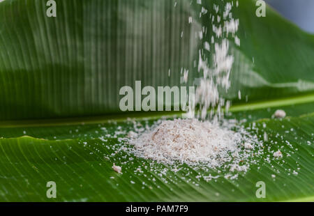 Die Kokosnuss, kratzen die Wasser zu mischen und dann gepresstem Kokosnuss Milch essen zu machen. Stockfoto