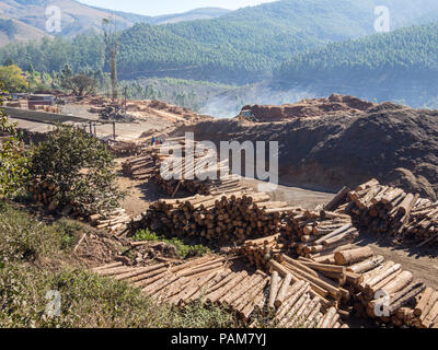 Baum Logging in ländlichen Swasiland mit schweren Maschinen, gestapelte Holz und Wald im Hintergrund, Afrika. Stockfoto