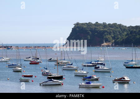 Teignmouth, Devon, England: Yachten liegen in der Nähe der Mündung des Teign vor - Ness Point / Ness Cove Steilhang im Hintergrund. Stockfoto