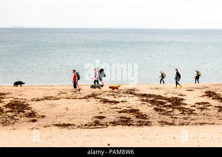 Eine Gruppe von Wanderern und ihre Hunde zu Fuß in Richtung Norden auf einer North Yorkshire Strand Stockfoto