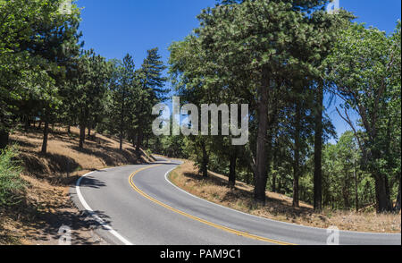 Kurven schlängelt sich durch die Wälder der südlichen Kalifornien San Bernardino Berge. Stockfoto