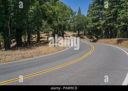 Straße schlängelt sich durch dichten grünen Wald im San Bernardino National Forest. Stockfoto