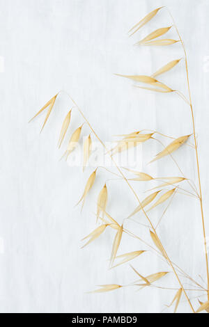 Schöne herbstliche Ostern Hochzeit Hintergrund. Trockene Wilde Hafer Beige gelbe Blumen auf weißem Leinen. Minimalistischen japanischen Stil. Elegante Hündin Styl Stockfoto