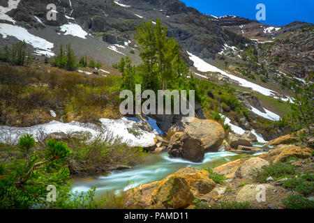 Türkis Creek durch ein Sierra Alpine Valley-Highway 108 am Straßenrand, Kalifornien fließende Stockfoto