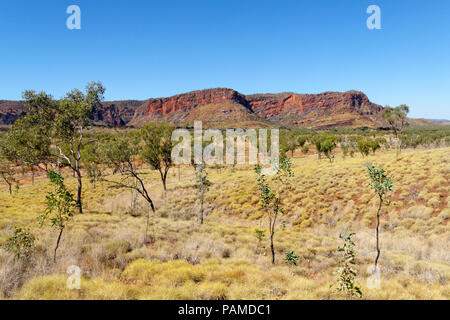 Landschaft der westlichen Seite von Bungle Range, Purnululu National Park, Kimberley, Nordwesten Australien Stockfoto