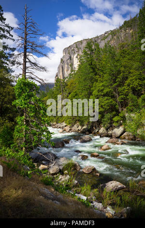 Lush Green Granite Canyon mit rauschenden Merced River fließt durch - Yosemite National Park Stockfoto