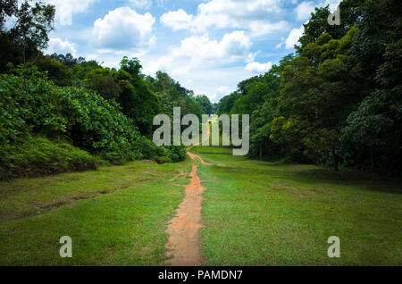 Schmutz Wandern & Mountainbike Trail in Bukit Timah Natur Park, was zu Macritchie Reservoir Stockfoto