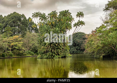 Landschaft Blick auf Palmen Insel auf Swan Lake in Singapur Botanischen Gärten. Stockfoto