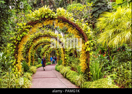 Singapur Jan 11, 2018: Touristen zu Fuß auf Fußgänger Weg durch kleine gelbe Orchidee Blumen auf Bügel in Singapur Botanischen Ga platziert angeordnet Stockfoto