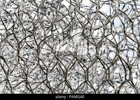 Zusammenfassung Hintergrund einer Rolle des einen Zaun mit kontrastfarbenen Akzenten, Rolle mit Stahldraht Brei Stockfoto