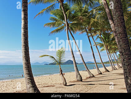 Pristine Palm Cove Beach View an einem top Winter Stockfoto