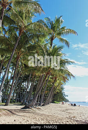 Palm Cove Beach an einem Winter Stockfoto