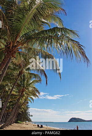 Palm Cove Beach an einem Winter Stockfoto