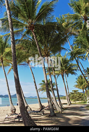 Palm Cove Beach suchen atemberaubende am südlichen Ende der Promenade an einem Winter Stockfoto