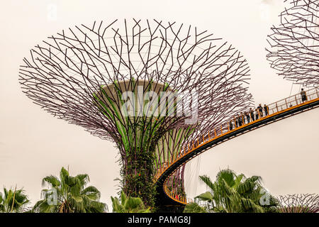 Singapur - Jan 14, 2018: Touristen zu Fuß auf Plattform auf Supertree Grove, Vertikale Gärten ähnlich hohen Bäumen, mit Vordächern und bunten ligh Stockfoto