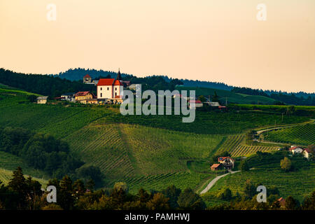 Weinberge mit kleinen Dorf in Ritoznoj, Slowenien Stockfoto