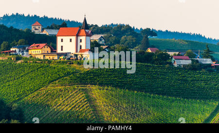 Weinberge mit kleinen Dorf in Ritoznoj, Slowenien Stockfoto