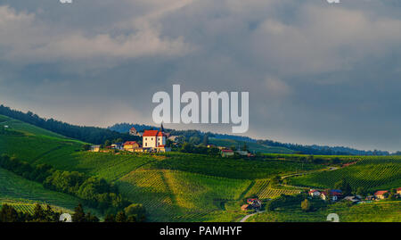 Weinberge mit kleinen Dorf in Ritoznoj, Slowenien Stockfoto