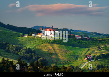 Weinberge mit kleinen Dorf in Ritoznoj, Slowenien Stockfoto