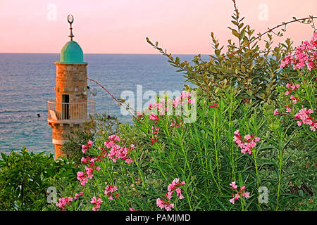 Al-Bahr Moschee oder Meer Moschee in der Altstadt von Jaffa, Tel Aviv, Israel auf den Sonnenuntergang. Es ist die älteste erhaltene Moschee in Jaffa, Israel Stockfoto