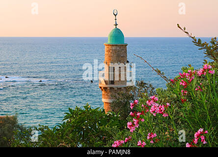 Al-Bahr Moschee oder Meer Moschee in der Altstadt von Jaffa, Tel Aviv, Israel auf den Sonnenuntergang. Es ist die älteste erhaltene Moschee in Jaffa, Israel Stockfoto