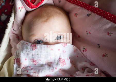 Verschleierte Baby mit blauen Augen in die Kamera schauen Stockfoto