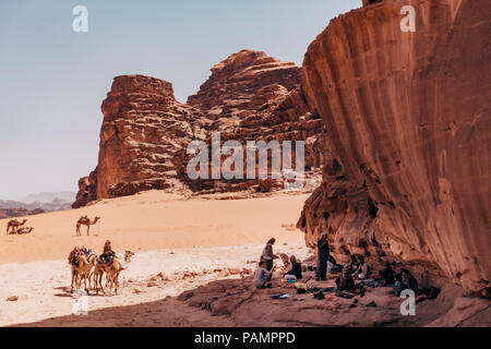 Kamele in der Wüste im Sommer Sonne in Wadi Rum, Jordanien Stockfoto