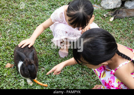 Asiatische wenig chinesische Schwestern Fütterung ein Hase mit Karotte im Hof Stockfoto