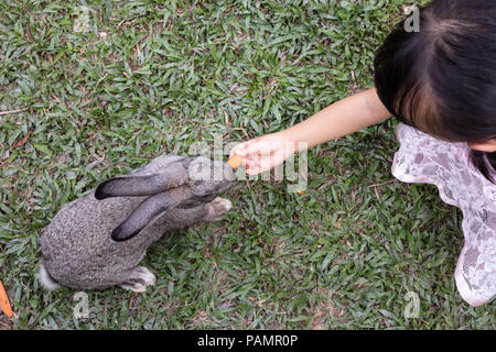 Asiatische kleinen chinesischen Mädchen Fütterung ein Hase mit Karotte im Hof Stockfoto