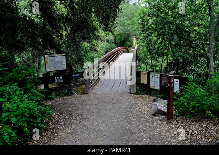 Fuß Brücke über Alameda Creek, Sunol Regional Wilderness, Kalifornien, Stockfoto