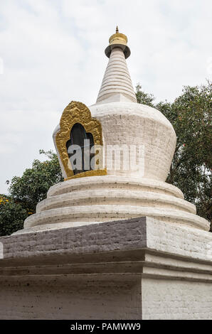 Große, weiße - Stupa und Bodhi Baum im ersten Hof Punakha Dzong, Bhutan - punakha Dzong, auch als Pungtang Dechen Photrang Dz bekannt gewaschen Stockfoto