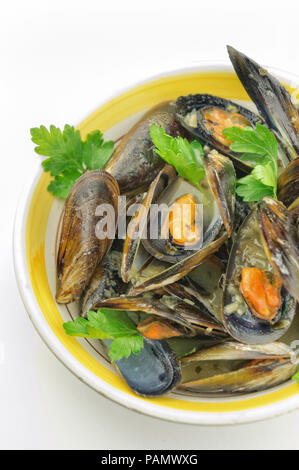 Miesmuschel Suppe mit frischer Petersilie auf weißem Hintergrund Stockfoto