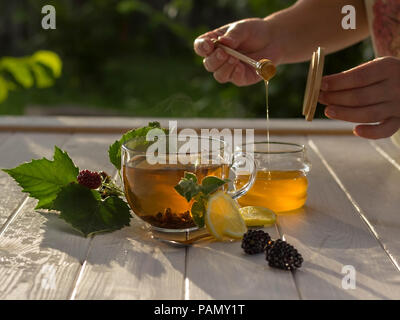 Gesundes Frühstückskonzept. Langsames Leben. Tee mit Zitrone, Beeren und Honig in einem Glas. Die Frau holt Honig ab Stockfoto