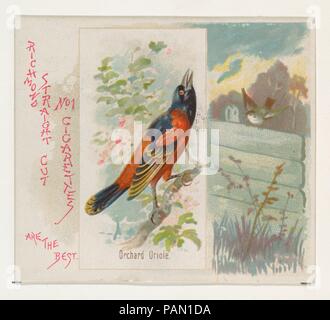 Orchard Oriole, aus dem Song Vögel der Welt-Serie (N42) bei Allen&Ginter Zigaretten. Maße: Blatt: 2 7/8 x 3 1/4 in. (7,3 x 8,3 cm). Lithograph: George S. Harris & Söhne (Amerikanische, Philadelphia). Herausgeber: Herausgegeben von Allen&Ginter (Amerikanische, Richmond, Virginia). Datum: 1890. Große Handel Karten aus der 'Song Vögel der Welt'-Reihe (N 42), im Jahre 1890 in einer Reihe von 50 ausgestellten Karten Allen&Ginter Marke Zigaretten zu fördern. Serie N 42 reproduziert die Karten von N23 in einer größeren Größe. Museum: Metropolitan Museum of Art, New York, USA. Stockfoto