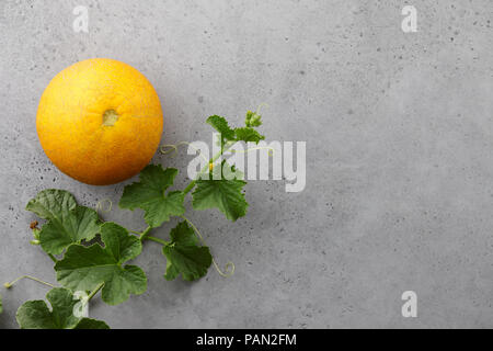 Frische gelb Melone und blühenden Reben auf grauem Hintergrund Stockfoto