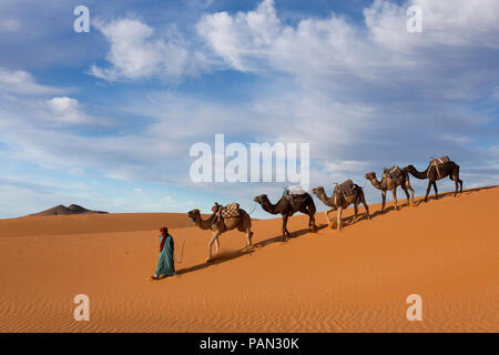 Sahara Stockfoto