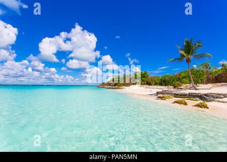 Tropische Insel mit Palmen in der Dominikanischen Republik, Saona Island Stockfoto