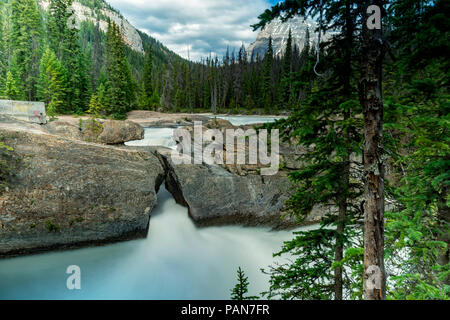 Wunderbare Kanada - wunderbare natürliche Brücke lange Belichtung Anzeigen 4, Yoho National Park, BC, Kanada Stockfoto