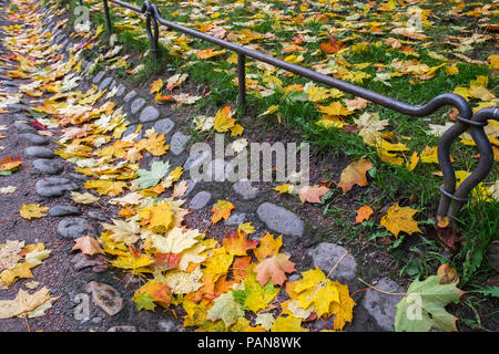 Bunte rot, gelb, orange Ahornblätter in alten Entwässerungsgraben. Buntes Laub, Gras und Asphalt Fußweg. Natürliche Hintergrund. Stockfoto