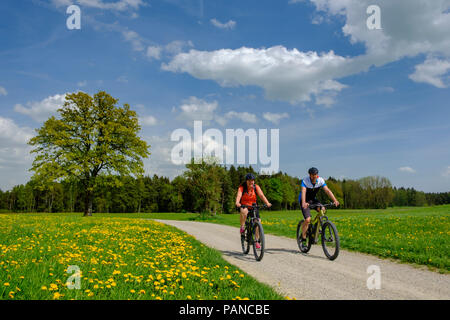 Deutschland, Oberbayern, Fembach, Chiemgau, Radfahrer Stockfoto