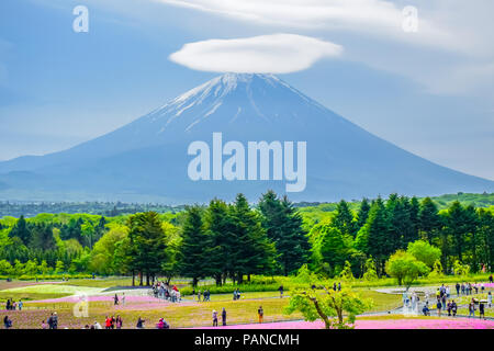 Mount Fuji Blick hinter bunte Blume Feld bei Fuji Shibazakura moss phlox Fastival in Kawaguchiko, Japan Stockfoto