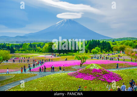 Mount Fuji Blick hinter bunte Blume Feld bei Fuji Shibazakura moss phlox Fastival in Kawaguchiko, Japan Stockfoto