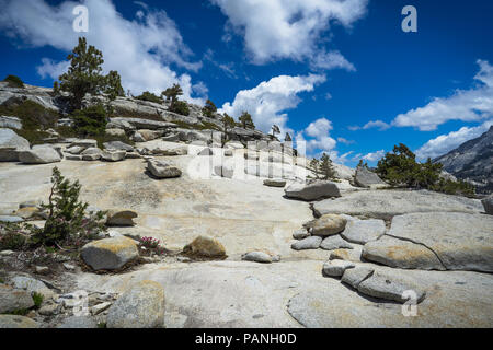Riesige Felsbrocken und Granitplatten in Olmsted Point, am Highway 120 - Yosemite National Park Stockfoto
